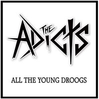 Wild - The Adicts