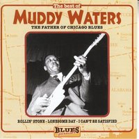 They Call Me Muddy Waters - Muddy Waters, Little Walter, Jimmy Rodgers