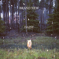 Bed - Brand New