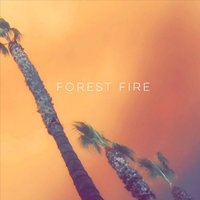 Forest Fire - Gianni, Gianni Taylor