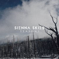 Don't Let Go - Sienna Skies