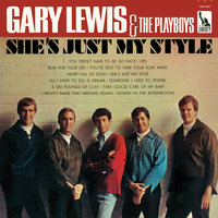 Someone I Used To Know - Gary Lewis & the Playboys