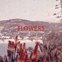 Flowers - Palmas