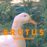 Buddha Worm - Zach Sherwin