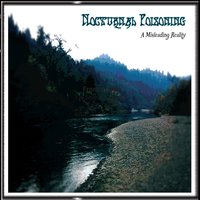 A Misleading Reality - Nocturnal Poisoning