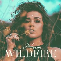 Wildfire - Bean
