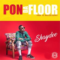 Pon da Floor - Shaydee