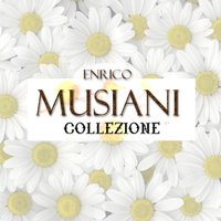 Una spina e una rosa - Enrico Musiani