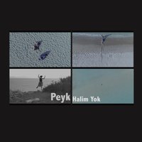 Halim Yok - Peyk