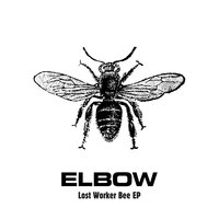 Lost Worker Bee - elbow