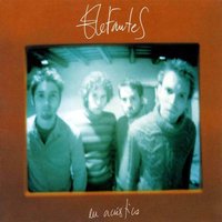 Me he vuelto a equicovar - Elefantes