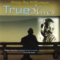 All My Love Is Vain - Sonny Boy Williamson