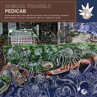 What's the Algorithm? - Pedicab