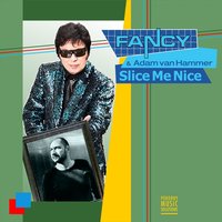 Slice Me Nice - Fancy, Adam van Hammer