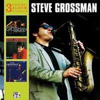 The More I See You - Steve Grossman