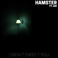 I Didn't Excpect You - Hamster