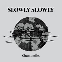 Chamomile - Slowly Slowly