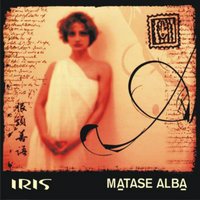 Matase alba - Iris