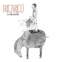 Io sono Francesco - Tricarico