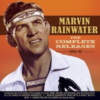 Albino (Pink-Eyed Stallion) - Marvin Rainwater