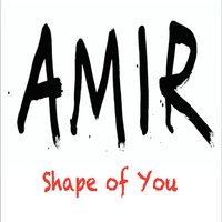 Shape of You - Amir