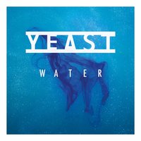 Black Nights - Yeast