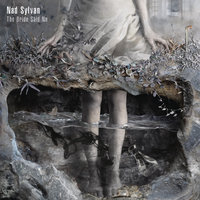 The Bride Said No - Nad Sylvan