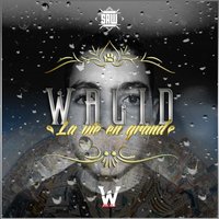 La vie en grand - Walid, Walid Sevran