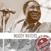 Muddy Waters -Turn The Lamp Down Low - Muddy Waters