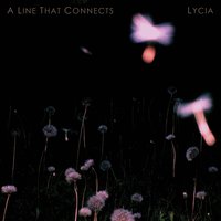 The Fall Back - Lycia