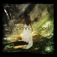 Sleeping Angel - Whispering Woods