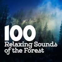 Nature Sound Series