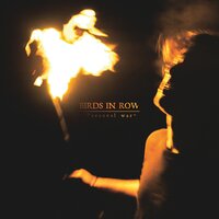 Torches - Birds In Row