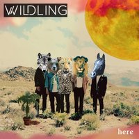 Hummingbird - Wildling