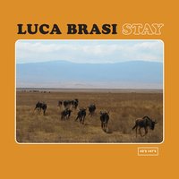 Let It Slip - Luca Brasi