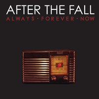 The Fighter - After The Fall