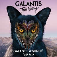 True Feeling - Galantis, Shndō