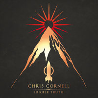 Murderer Of Blue Skies - Chris Cornell