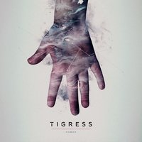 Fire - Tigress
