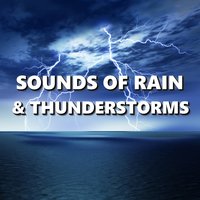 Relaxed Night Rain & Storm Sounds - Thunderstorm