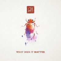 What Does It Matter - Baer