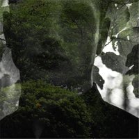 The Softest Hue - Bre