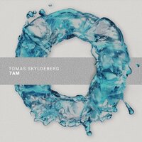 Vibrations From You - Tomas Skyldeberg