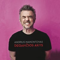 Šypsena - Andrius Mamontovas