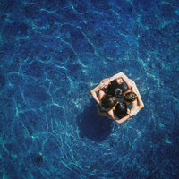 Respiração - Ley Line