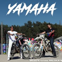 Yamaha - DaCosta, Malcolm B