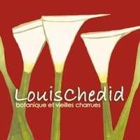 God Save the Swing - Louis Chedid