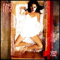 Valentine - Knee High Fox