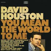 Misty Blue - David Houston