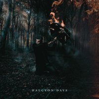 Echoes - Halcyon Days